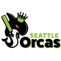 Seattle Orcas logo - Similar company to Willow