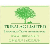 TRIBALAG LIMITED logo - Similar company to Dokraarts.Com