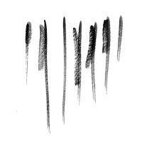 Associació Muzio Clementi De Barcelona