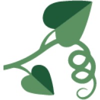 The Curiosity Vine
