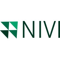 NIVI digital logo - Similar company to Streaam