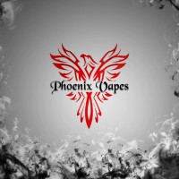 PHOENIX VAPES LTD logo - Similar company to Phoenix Vapers Ltd
