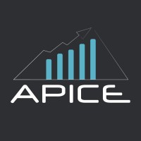 APICE - Marketing Strategico ed Operativo logo - Similar company to Elearnit