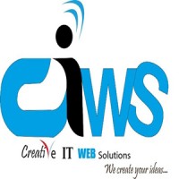 Creative IT Web Solutions Pvt. Ltd. logo - Similar company to Dolphinox Technologies Pvt Ltd