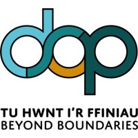 Canolfan Ragoriaeth Dsp Centre Of Excellence