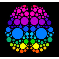 Brainfest logo - Similar company to Takary Software