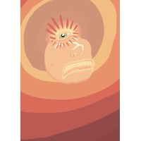 Sombra Del Sol Hats logo - Similar company to Different Babe