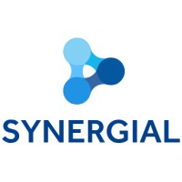 Synergial Cybersecurity logo - Similar company to Level4