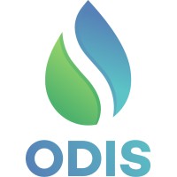 ODISolutions logo - Similar company to Sinnefoitaly