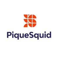 Pique Squid Consultancy logo - Similar company to Kaino Tech