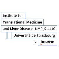 Inserm Institute for Translational Medicine and Liver Disease, University of Strasbourg logo - Similar company to Ibmc