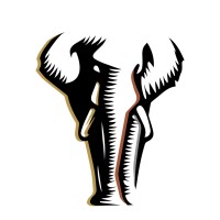 Tlou Commodities logo - Similar company to B & K Commodities