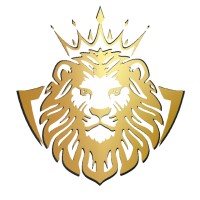 ROI Digital Marketing USA logo - Similar company to Imagicity