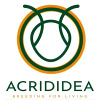 ACRIDIDEA logo - Similar company to Agence Webplus
