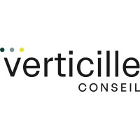 Verticille Conseil logo - Similar company to Datarocks.Io