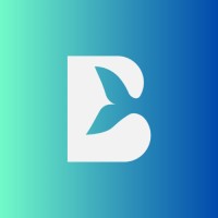 BigBeluga logo - Similar company to Multicharts