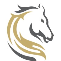 Stallions Solutions - Microsoft Gold Partner logo - Similar company to Voltek