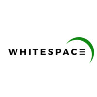 Whitespace Technology logo - Similar company to Mouseinc