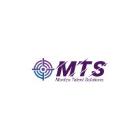 MTS logo - Similar company to Biosurge Meditech