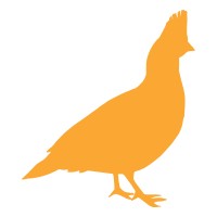 Upland Capital Advisors logo - Similar company to Upland Consulting