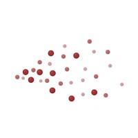 INASDET logo - Similar company to Prisma Eu Project