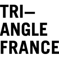 Triangle - Astérides, centre d'art contemporain logo - Similar company to Master Magemi