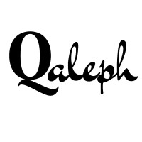 QAleph logo - Similar company to Goiásprev