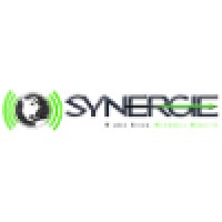 Synergie Tech Solutions, Llc