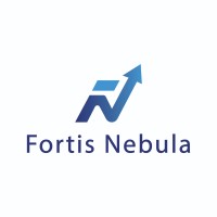 Fortis Nebula logo - Similar company to Elsource