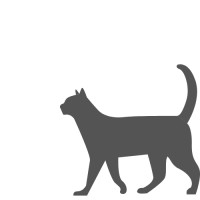 Clever Cat Consulting