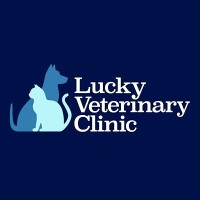 Lucky Veterinary Clinic logo - Similar company to Al Salah Veterinary Store