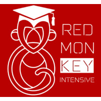 IT Academy RedMonKey Intensive logo - Similar company to Pillow Systems