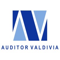 Auditor Valdivia Consultores logo - Similar company to Comercial Socoepa