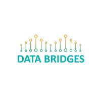 Data Bridges logo - Similar company to Dig & It