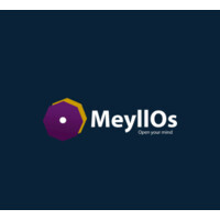 MeyllOs logo - Similar company to Cvpt Education