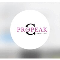 Pro Peak Consulting logo - Similar company to Dnc Consulting