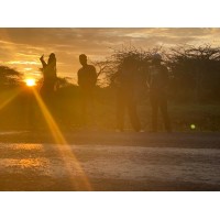 Premium tours logo - Similar company to Premium Caribbean Tours Sas