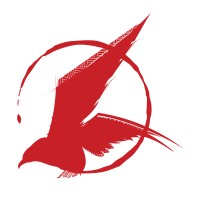 Eagles Wings Albinism Care & Support Zimbabwe logo - Similar company to Esg Network Zimbabwe