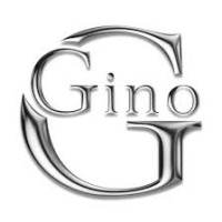 Gino BMW-MINI logo - Similar company to Gino Spa