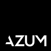 Azum - Next Level Coaching logo - Similar company to Snipback Ai