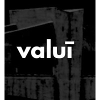 valui logo - Similar company to Extensityai