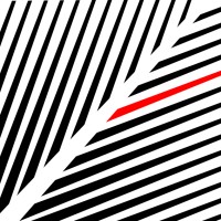 Black Swan Information Structuring & Design
