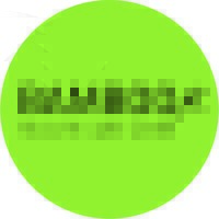 Bamboo Health Care GmbH logo - Similar company to Netways Web Services