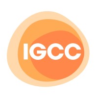 IGCC - Instituto de Governança e Controle do Câncer logo - Similar company to Tjcc - Movimento Todos Juntos Contra O Câncer