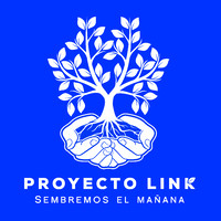 ONG Proyecto Link logo - Similar company to Asociación Estudiantil De Neurociencia Y Neurotecnología (Aenn)