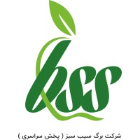 Barge Sibe Sabz logo - Similar company to Bssco