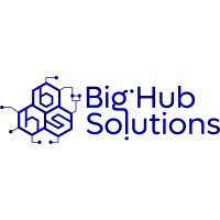 BIGHUBSOLUTIONS logo - Similar company to Syvon