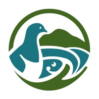 Restore Rodney East logo - Similar company to Encriptados.Io - Safesolf Internacional