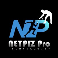 Netpiz Pro Technologies LLP logo - Similar company to Helix Solutions