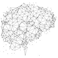 Quantum Analytics logo - Similar company to Netdev Soluciones